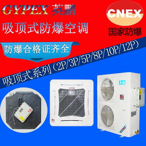 制藥廠吸頂式英鵬防爆天花機(jī)2p 谷瀑環(huán)保